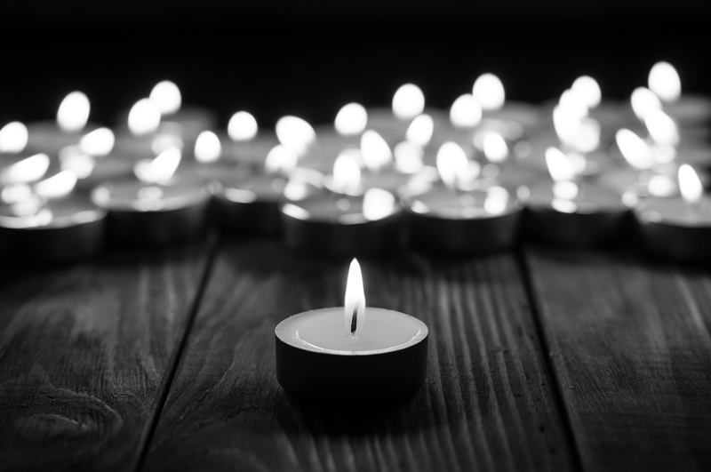 Ocala, FL – Tragic Fatality in Two‑Vehicle Collision on State Road 40